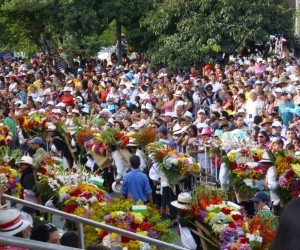 Flower Fair Source Uff Travel5